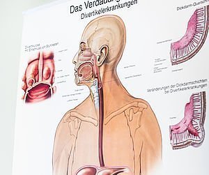 Schautafel Verdauungssystem | Ordination Zukriegel